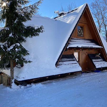 Casa Mountana Apartment Кошелско Екстериор снимка
