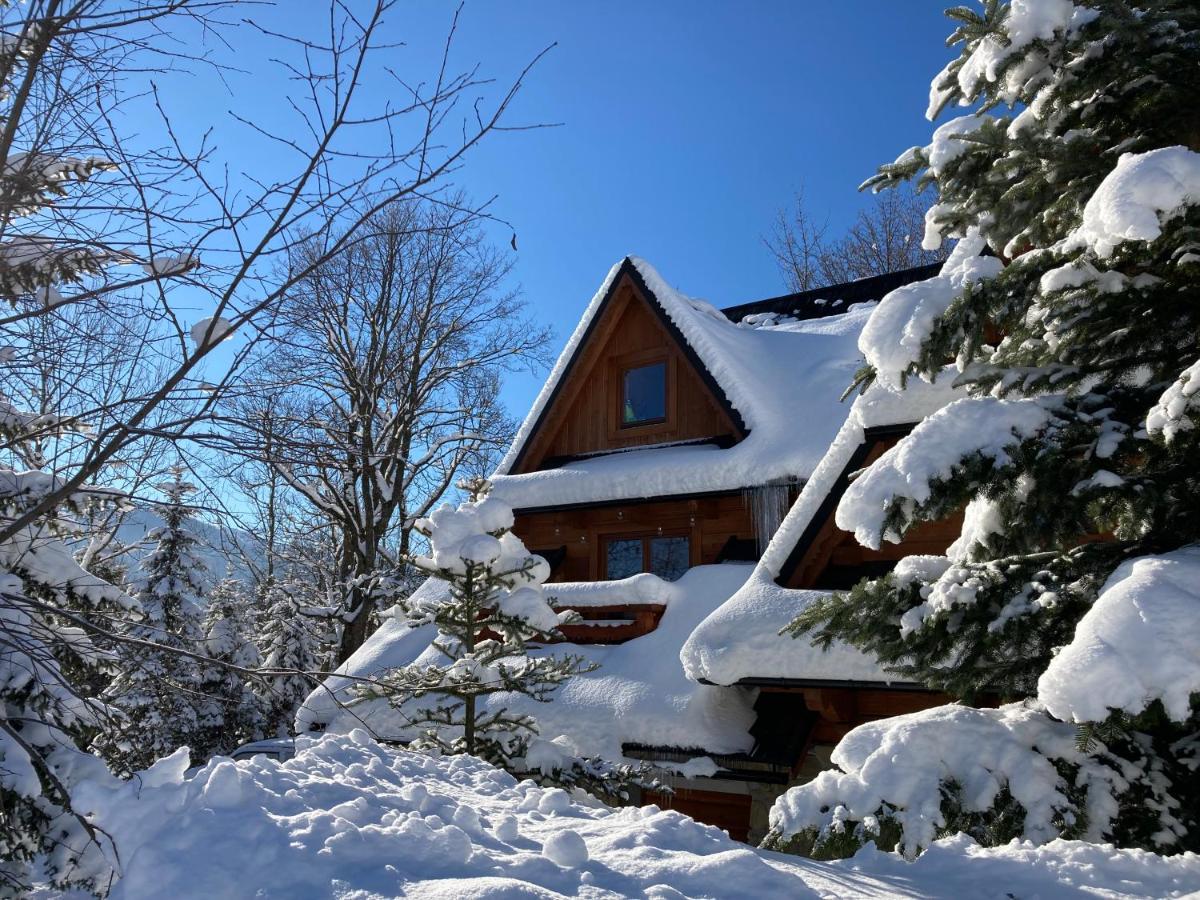 Casa Mountana Apartment Кошелско Екстериор снимка